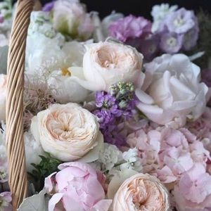 Meet your Posher, Malika